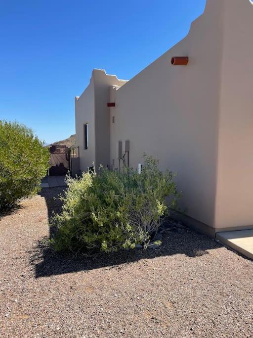 Villa Tucson Mnt Foothills Saguaro Bliss Exterior foto