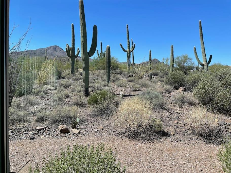 Villa Tucson Mnt Foothills Saguaro Bliss Exterior foto
