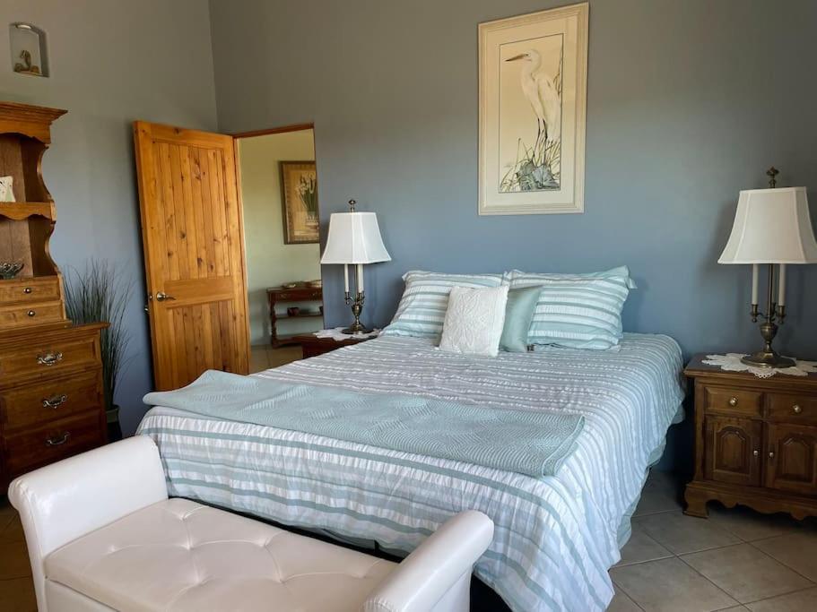Villa Tucson Mnt Foothills Saguaro Bliss Exterior foto