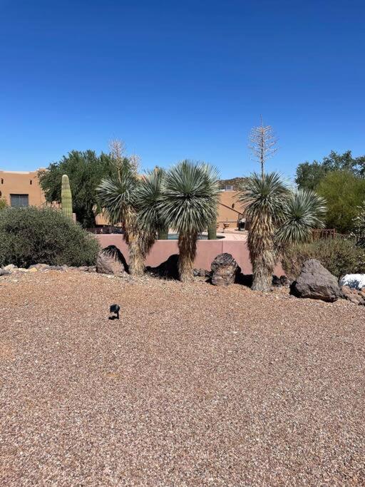 Villa Tucson Mnt Foothills Saguaro Bliss Exterior foto